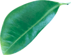 img-slider31.png